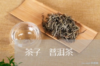 茶子 普洱茶/2023042840730